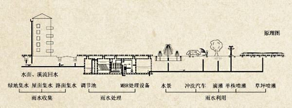 雨水收集的優(yōu)勢